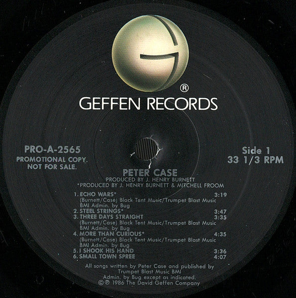 Peter Case - secondary
