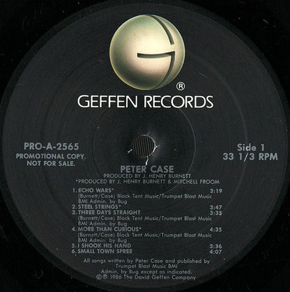 Peter Case - secondary