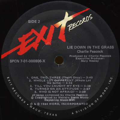 Lie Down In The Grass - secondary