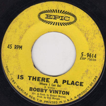 Blue Velvet / Is There A Place (Where I Can Go) - secondary