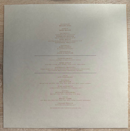 Lifted Or The Story Is In The Soil, Keep Your Ear To The Ground (A Companion) - secondary