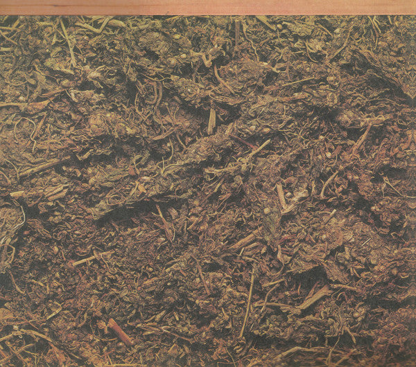 Long John Silver - secondary