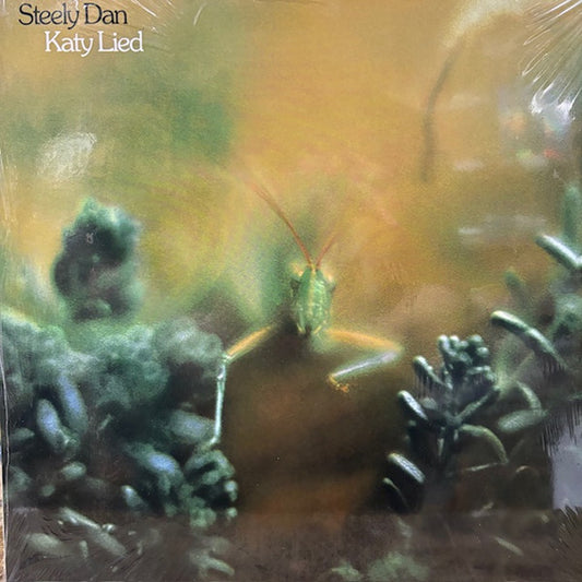 Katy Lied - primary