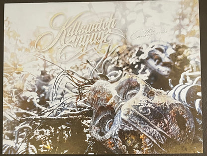 This Consequence - secondary