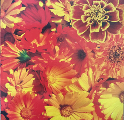 All Souls - secondary