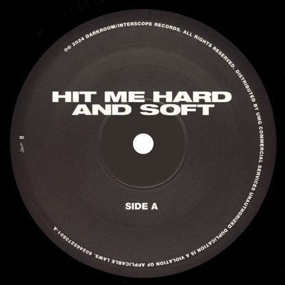 Hit Me Hard And Soft - secondary