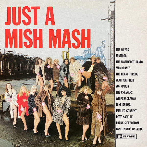 Various - Just A Mish Mash