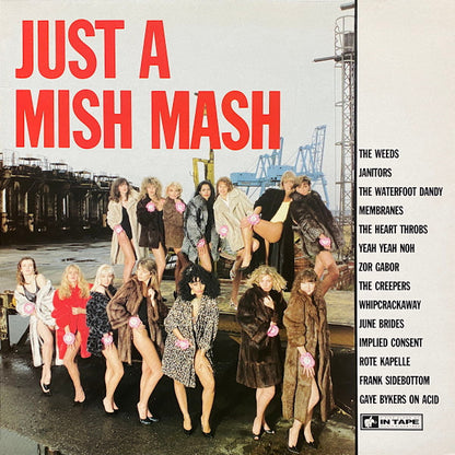 Various - Just A Mish Mash