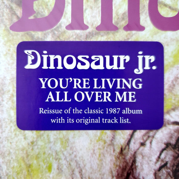 You're Living All Over Me - secondary