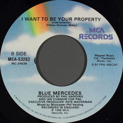 I Want To Be Your Property - secondary