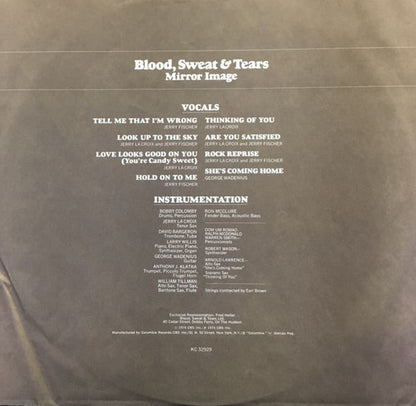 Mirror Image - secondary