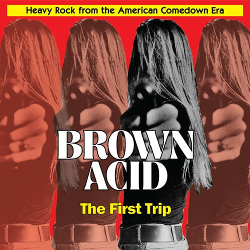 Brown Acid: The First Trip (Heavy Rock From The American Comedown Era) - primary