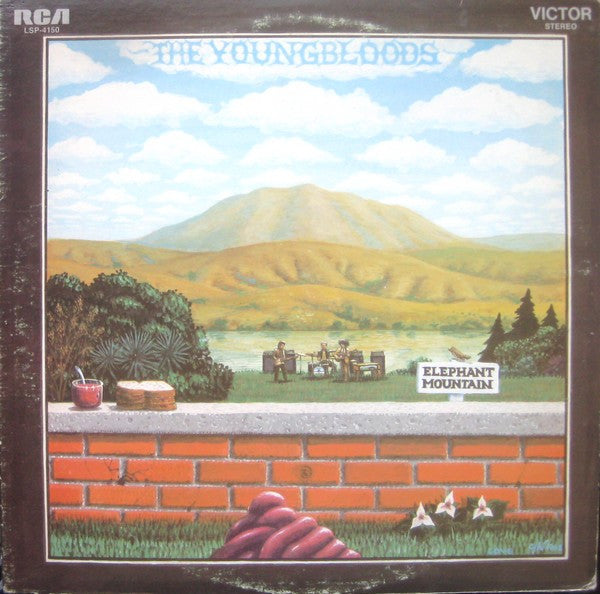 Elephant Mountain - primary