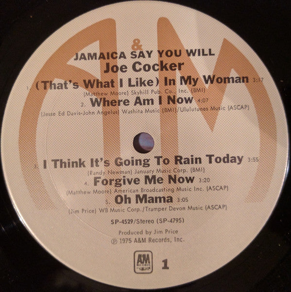Jamaica Say You Will - secondary