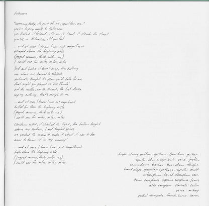 Bon Iver, Bon Iver - secondary