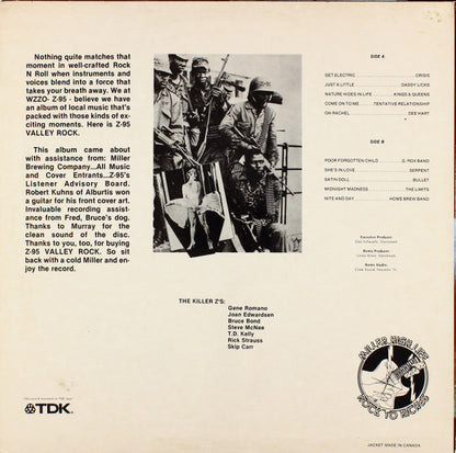 Z-95 Valley Rock - secondary