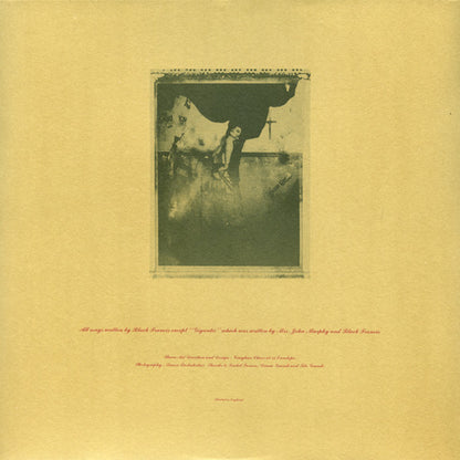 Surfer Rosa - secondary