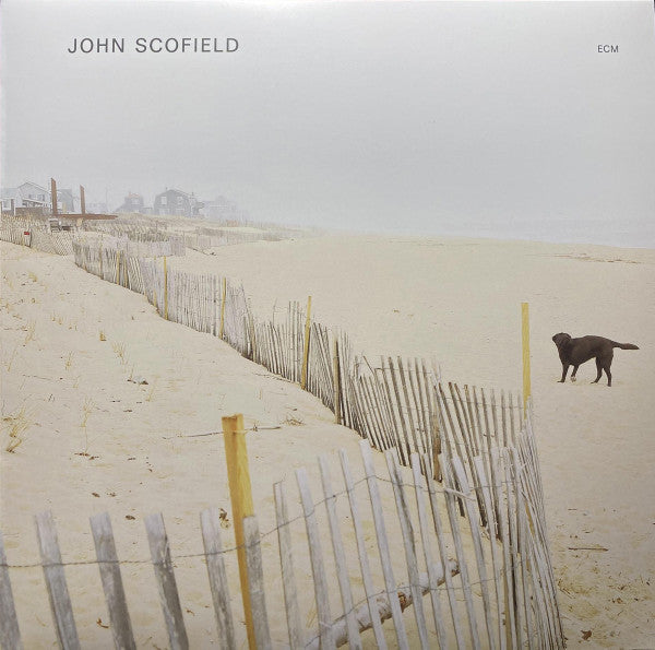 John Scofield - primary