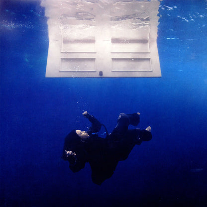 Hit Me Hard And Soft - primary