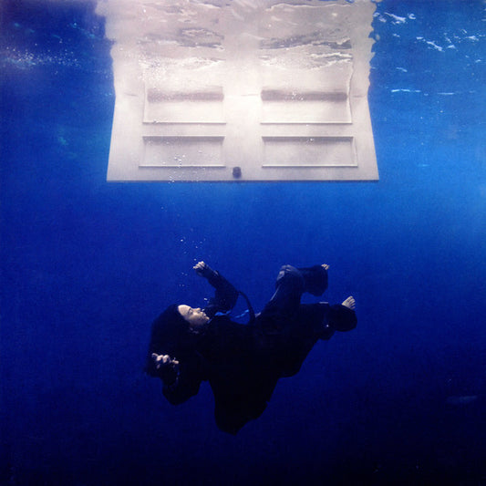 Hit Me Hard And Soft - primary