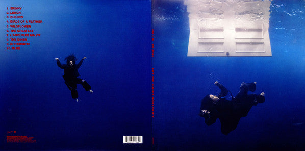 Hit Me Hard And Soft - secondary