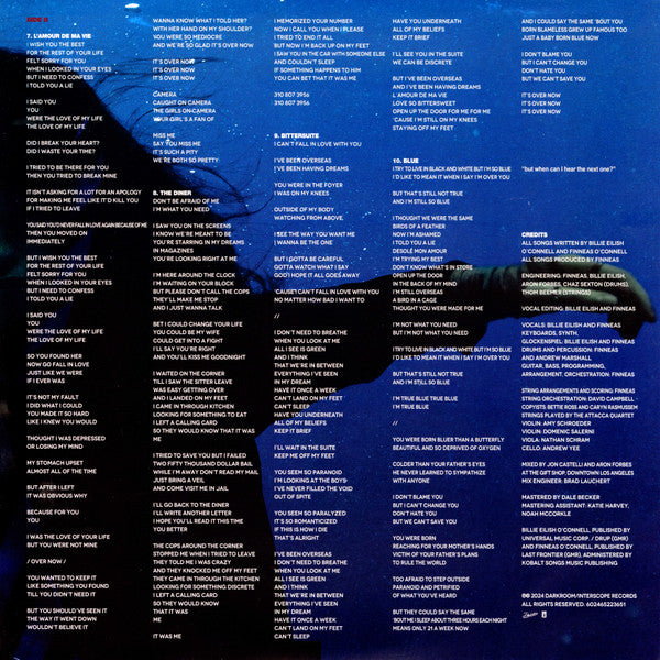 Hit Me Hard And Soft - secondary