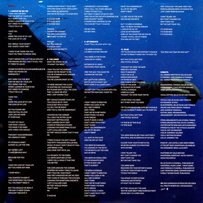 Hit Me Hard And Soft - secondary