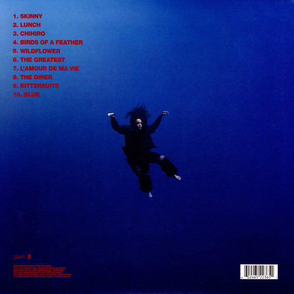 Hit Me Hard And Soft - secondary