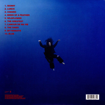 Hit Me Hard And Soft - secondary