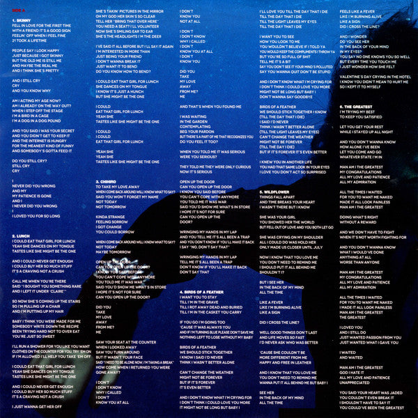 Hit Me Hard And Soft - secondary