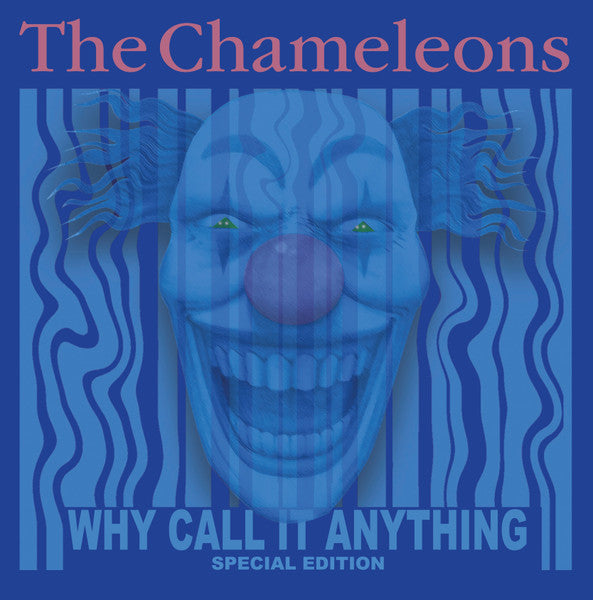 Why Call It Anything - primary