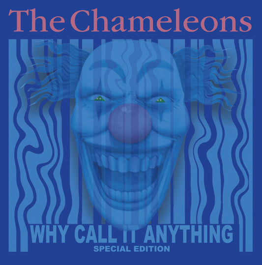 Why Call It Anything - primary