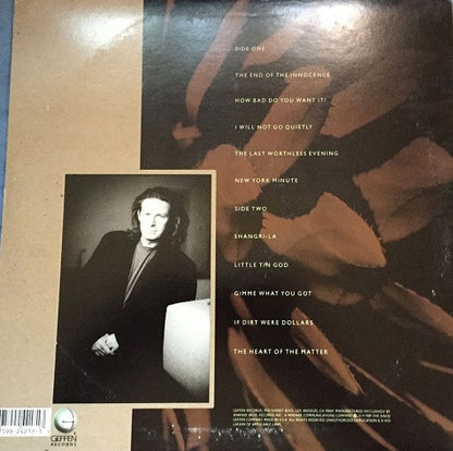 Don Henley - The End Of The Innocence