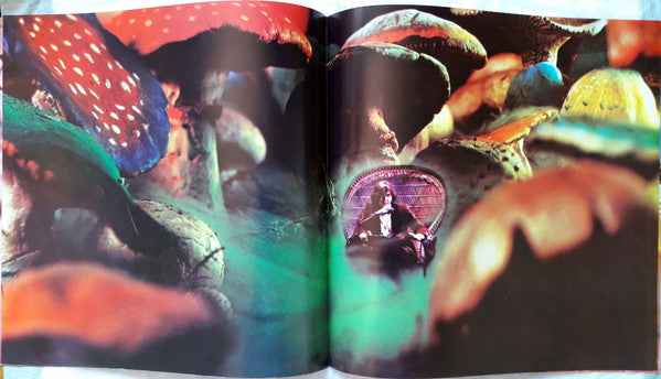Journey To The Centre Of The Earth - secondary