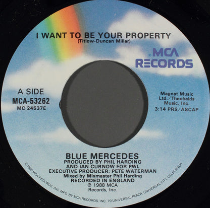 I Want To Be Your Property - secondary