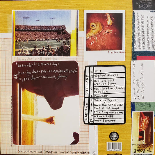 Blonder Tongue Audio Baton - secondary