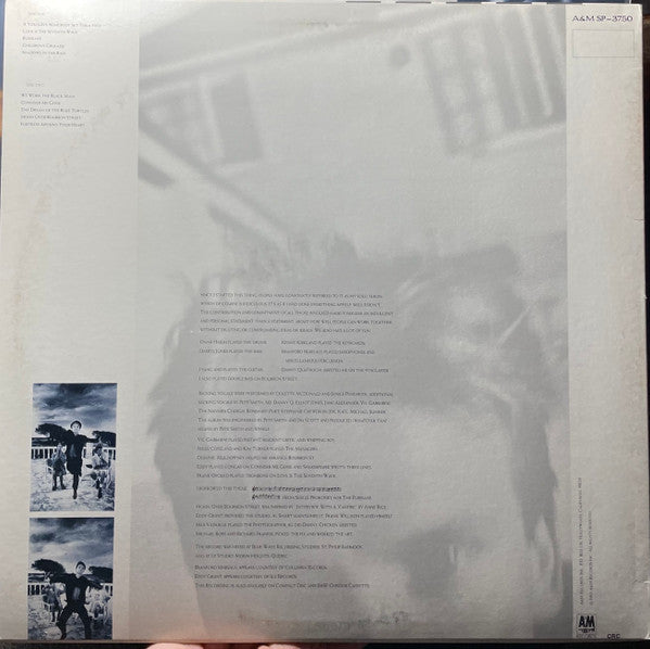 The Dream Of The Blue Turtles - secondary