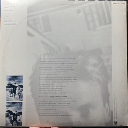 The Dream Of The Blue Turtles - secondary