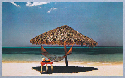 Foreigner - secondary