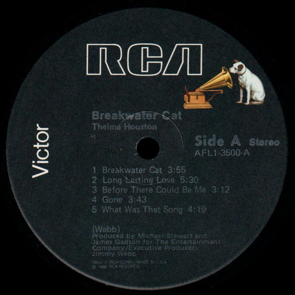 Breakwater Cat - secondary
