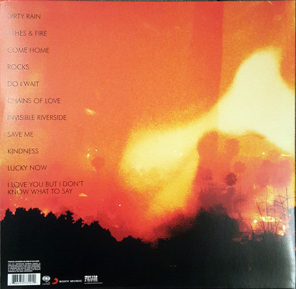 Ashes & Fire - secondary