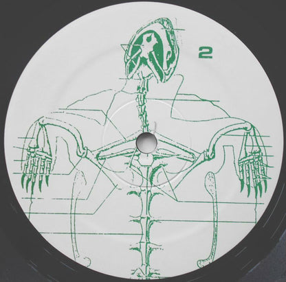 Tortoise - secondary