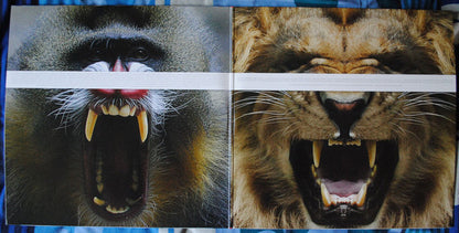 This Is War - secondary