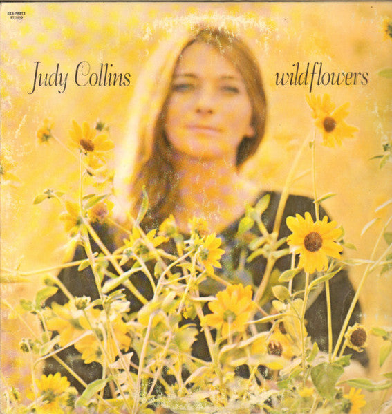 Wildflowers - primary