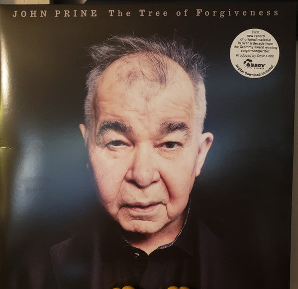 The Tree Of Forgiveness - secondary