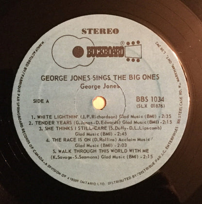 George Jones - George Jones Sings The Big Ones