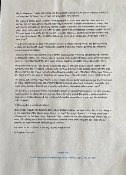 Script Of The Bridge  - secondary