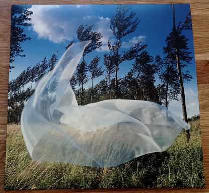 Wish You Were Here - secondary