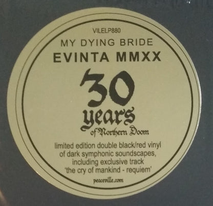 Evinta MMXX - secondary