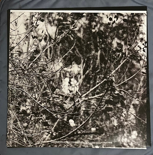 Night Reign - secondary